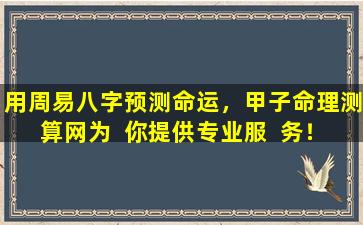 用周易八字预测命运，甲子命理测算网为  你提供专业服  务！